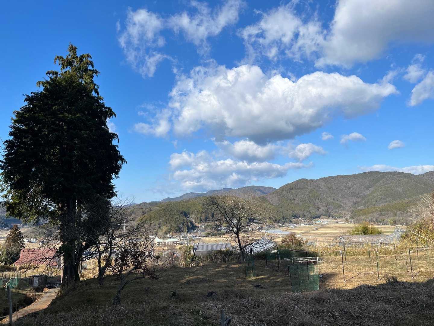 降ってきました🚶🏻‍♂️
歌垣山⛰️これにて終了です🙋🏻‍♂️
ありがとうございました🙇🏻‍♂️
