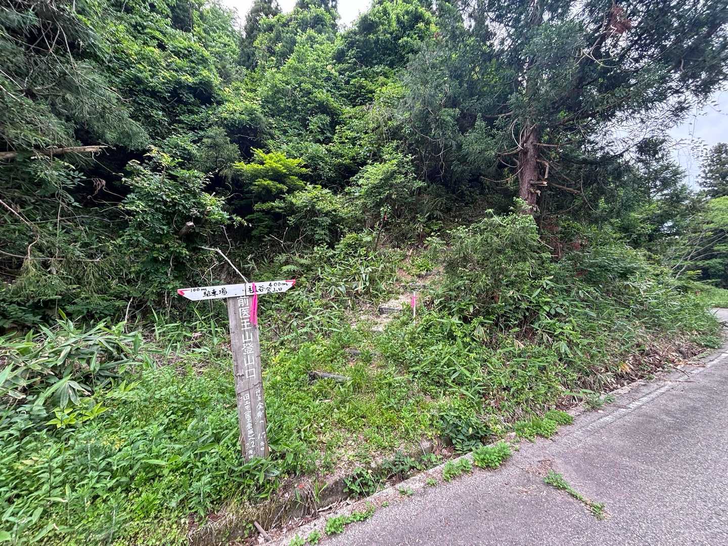 天気予報はもうすぐ☔️
降り出す前には戻ってきたい