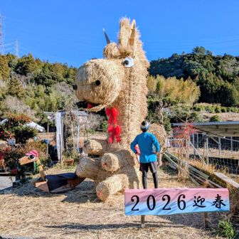 こんにゃく亭の干支オブジェ🐎