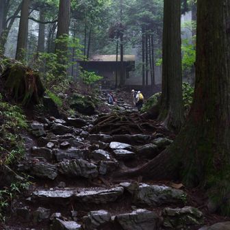 大嶽神社はいつも厳かな雰囲気。霧がかかっているとなおさら。