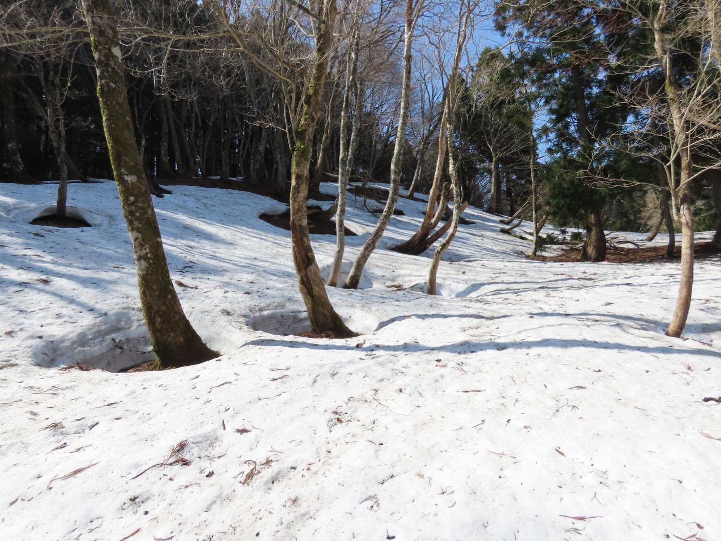 谷間には雪が残ってます⛄