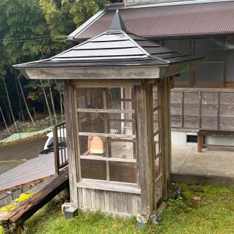 戻って来ました
