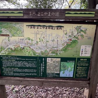 こういった案内板が各所に整備されています