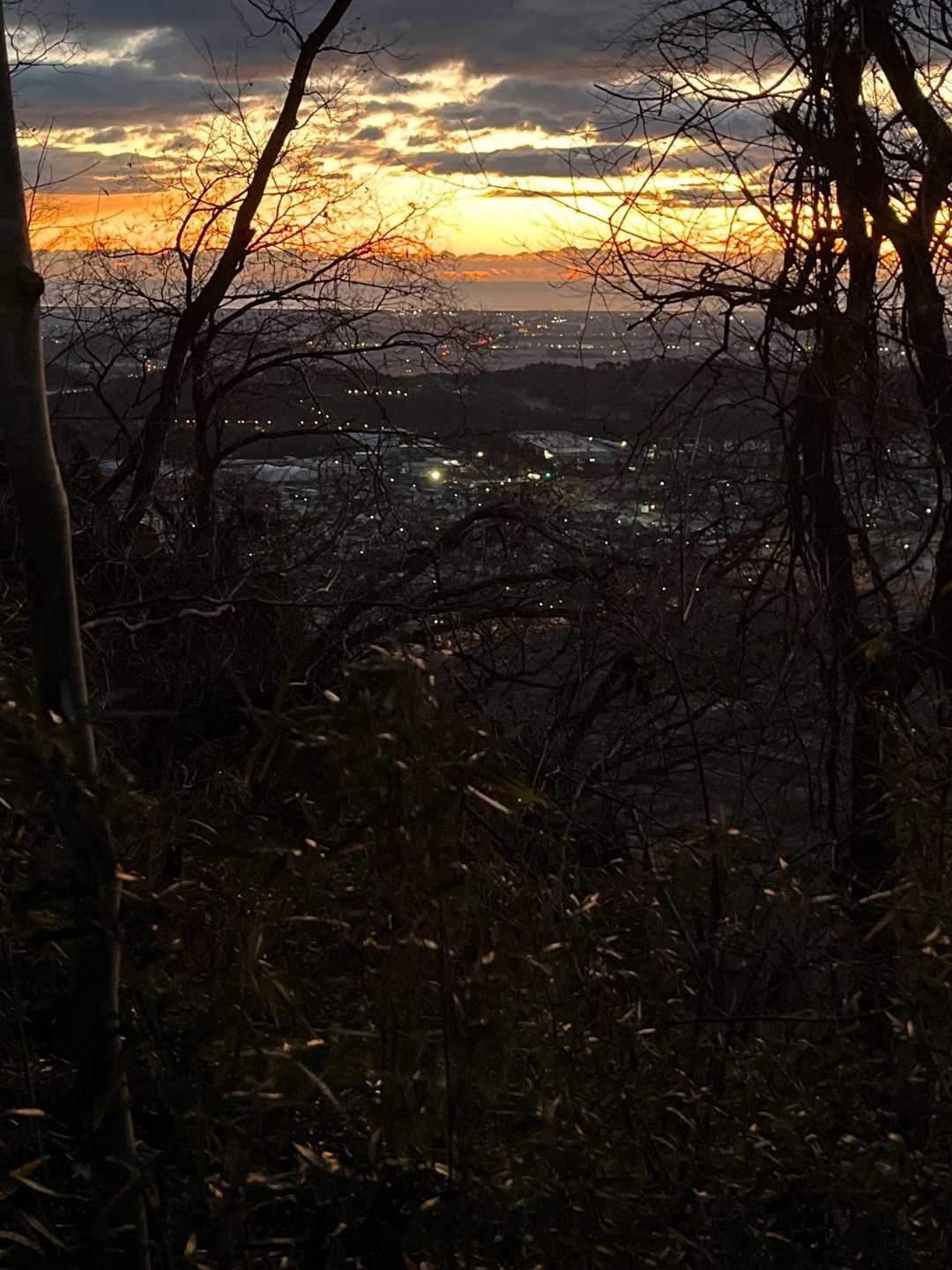 明るくなって来ました☺️