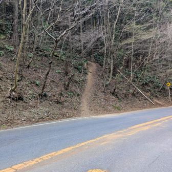 間瀬峠。一旦道路に出て再び山道へ。