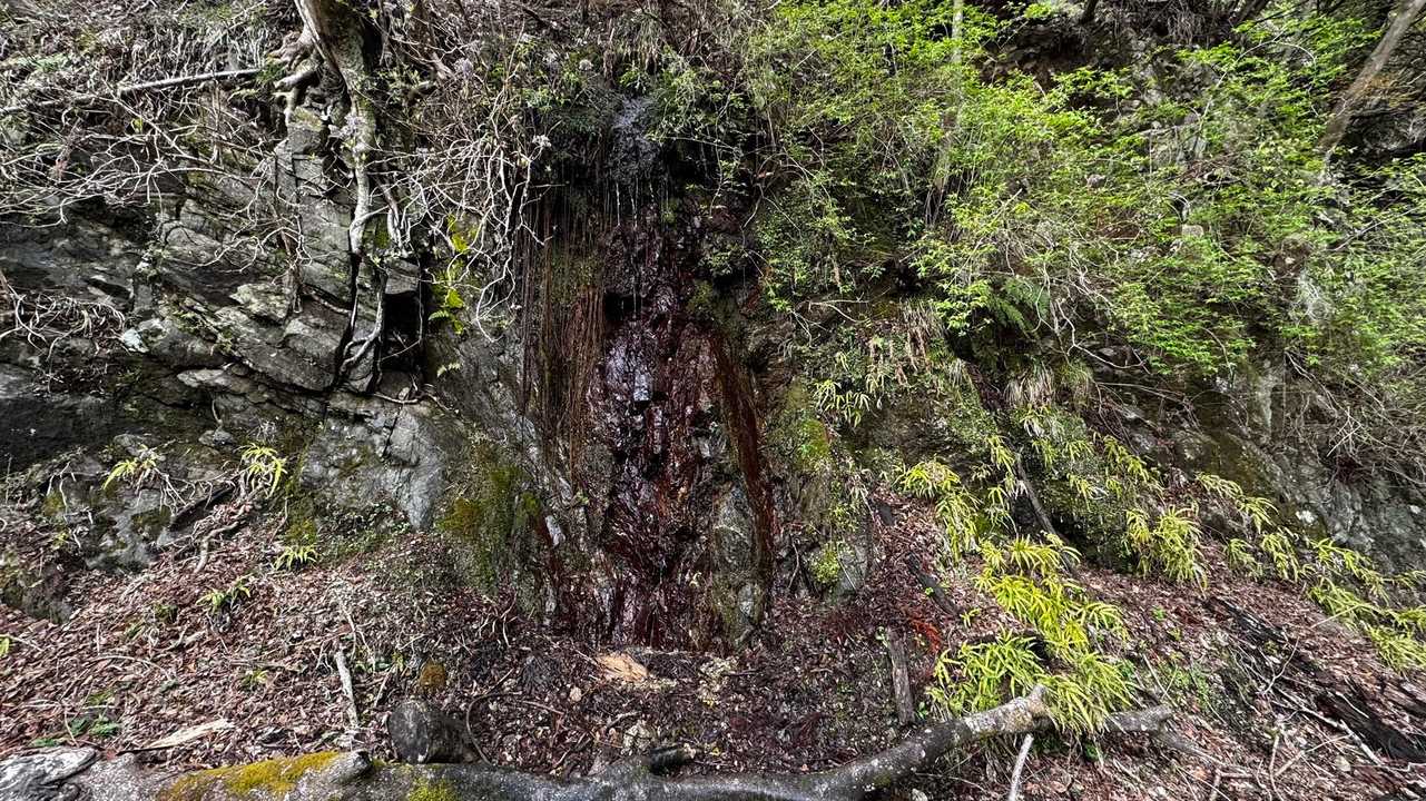 鍋割山・塔ノ岳・烏尾山縦走 の写真 57