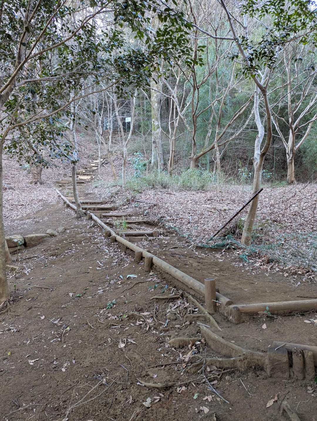 お社⛩️横の登山道を楽しみながら、ゆっくり歩きました♫🥳
