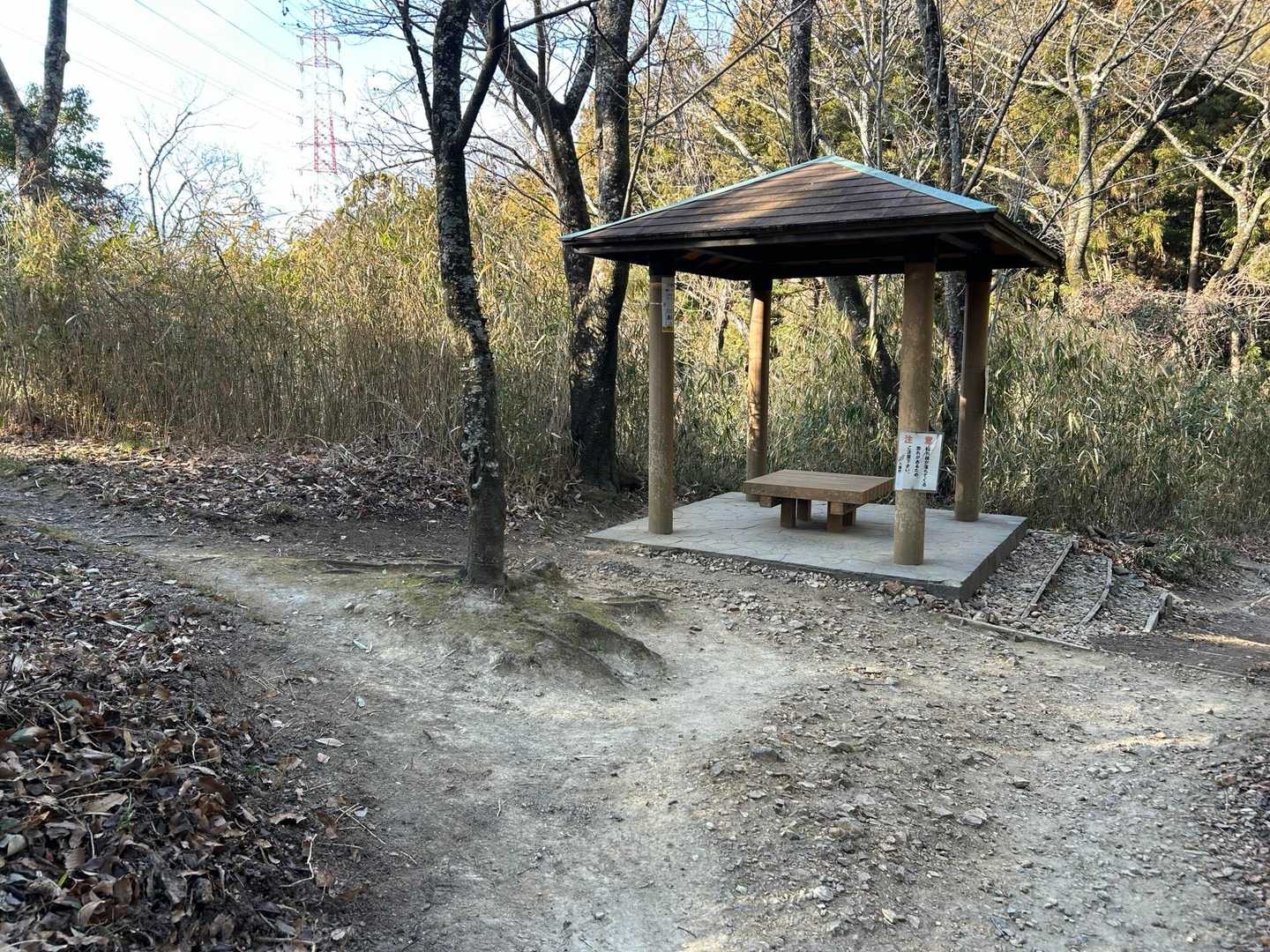 恩智新道から外れて左へ