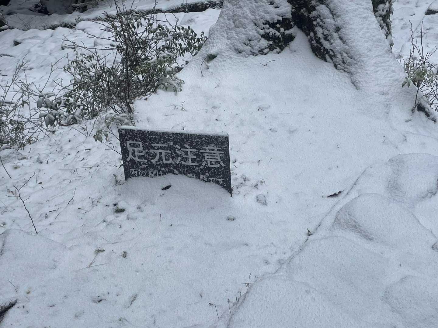ほんとっ‼️ 足元注意だわ