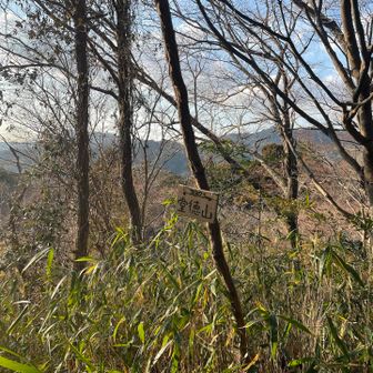 ちゃんと書いてくれててありがたい