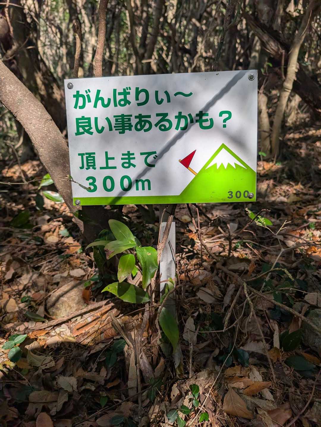 登山道入口-小倉ヶ辻 周回コースの写真
