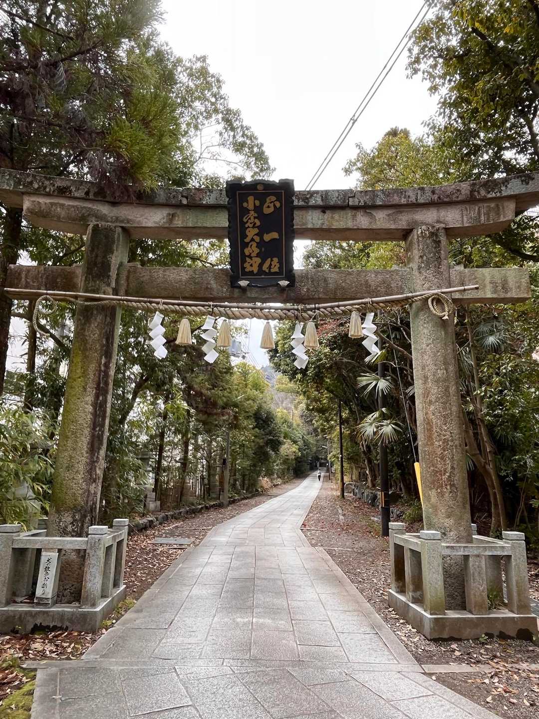 小倉神社を振り返る⛩️