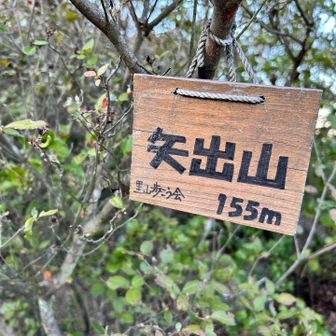 矢出山155m