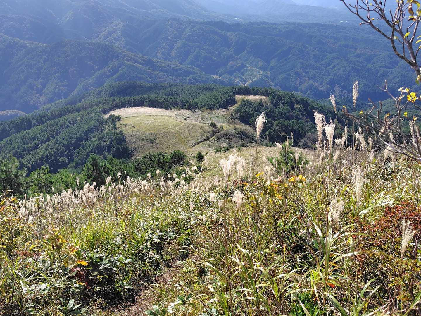 こちらはミニ下蒜山😄