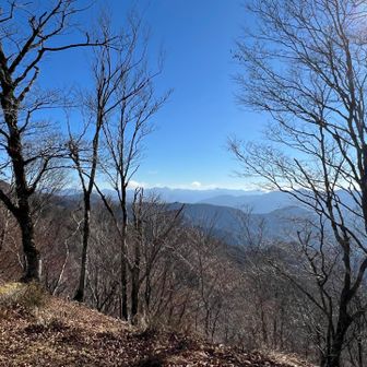 小屋の裏は眺めがよい！