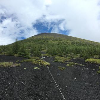 なんとかわかりやすい所まで辿り着きホッとする。双子山の上塚を見上げて。
