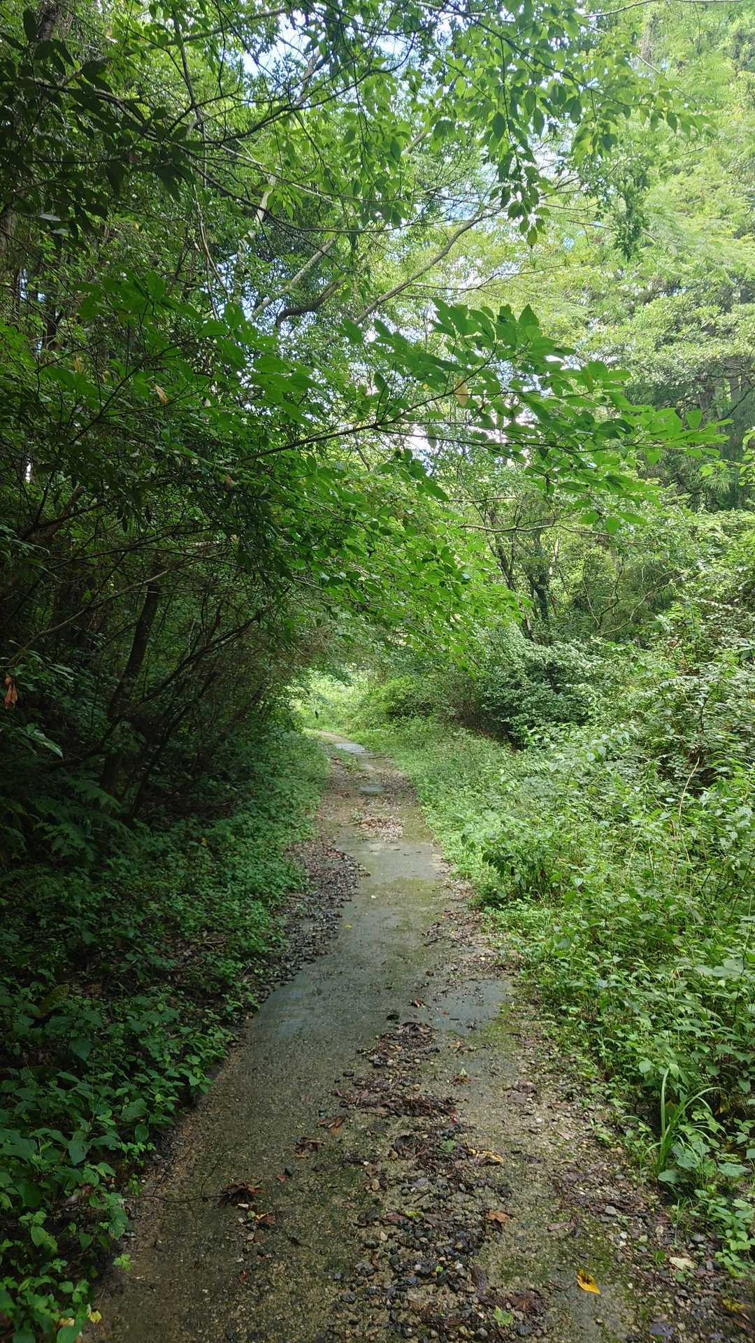 日影で涼しく登れます☝️