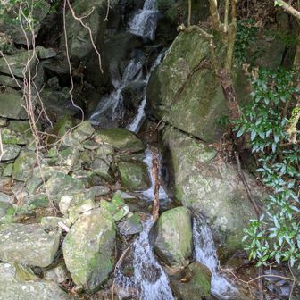 もうすぐ道に着く前の滝