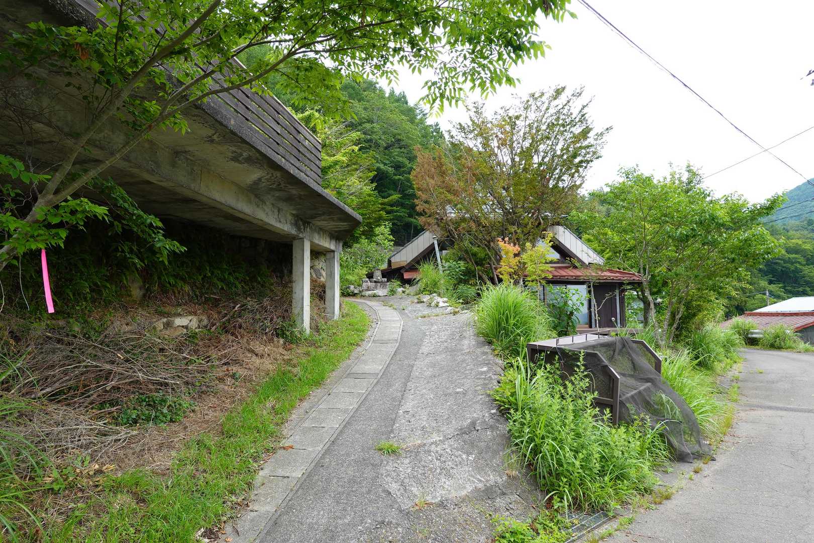 登山口に案内板はありませんが、V字に曲がってピンテのあるこの坂を登ります