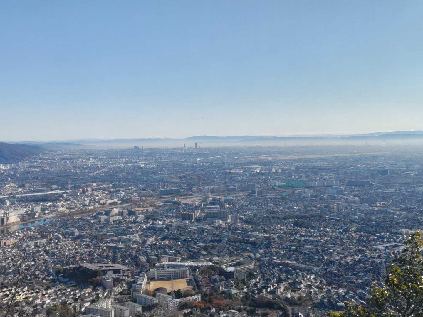 大阪平野は朝靄がかかってます🐄