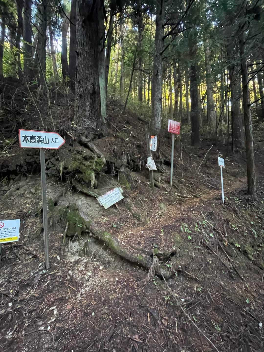 すいません🙏
やっと山行へ
本高森山登山口
実はここまでの車のアクセスがとても狭く恐ろしい道で💦
今回の山行で1番怖い😱
乗せてもらえて良かった
私は絶対無理な道
