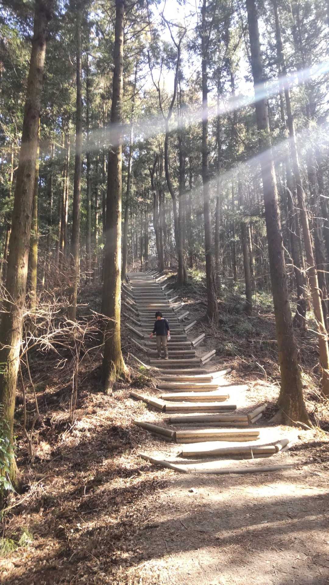 200段？の階段