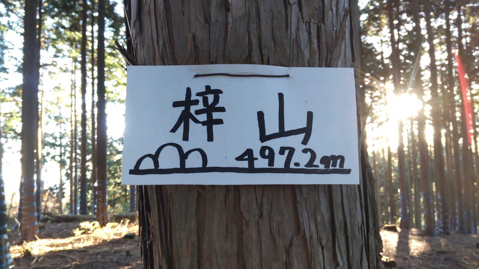 梓山の写真