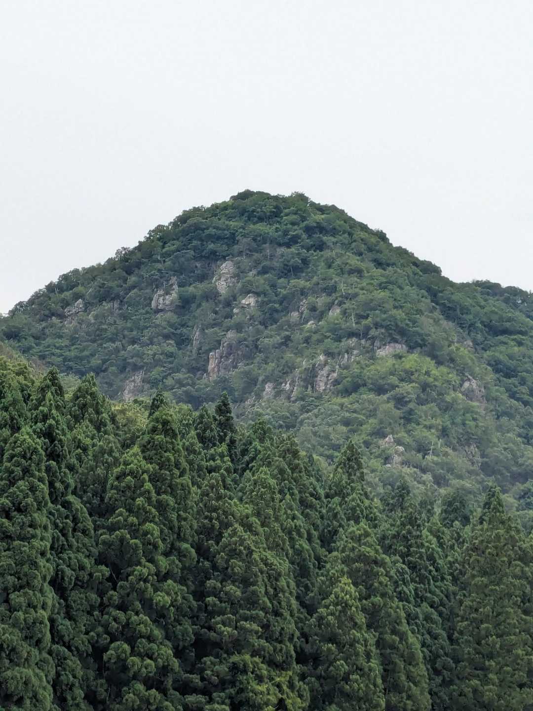 ありがとうございました😊