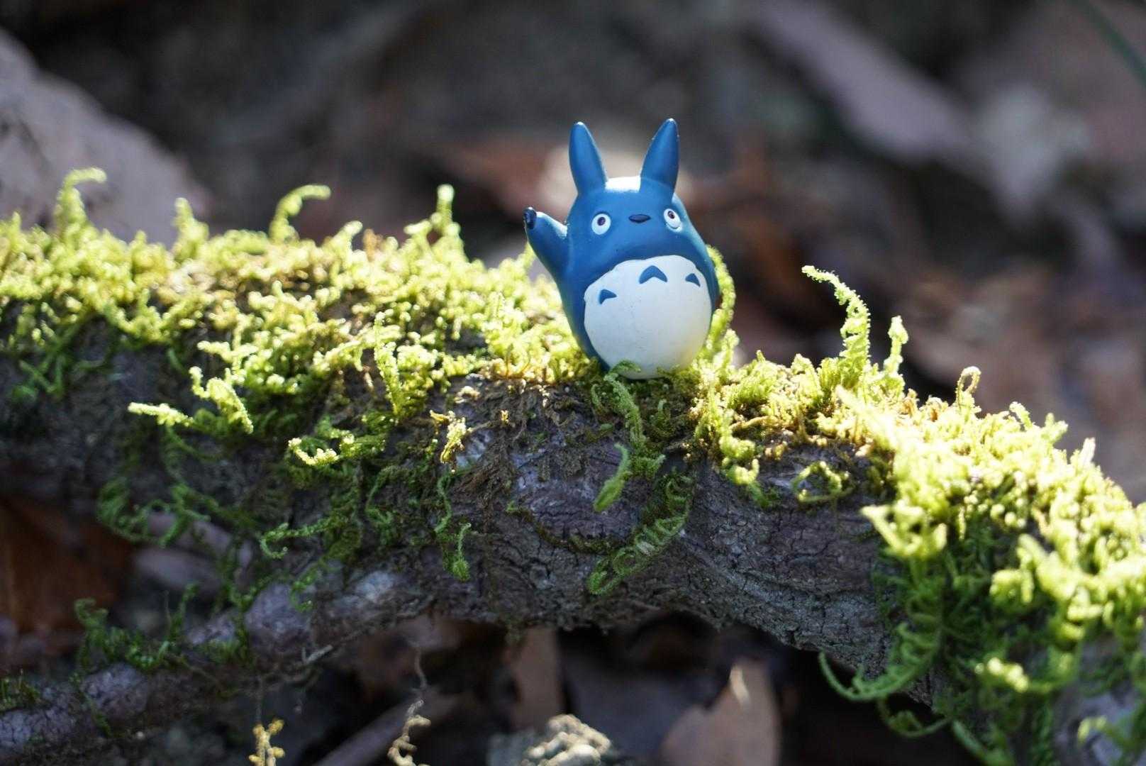 ひさびさに連れてった本日のお供。
