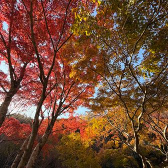 
　みんな、「楽しかった！！」と、

　大喜びしてくれた、
