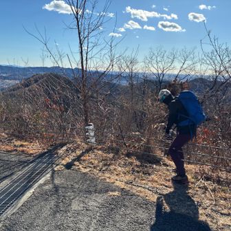 AAA氏も嬉しそうに着いて行くぅꉂ🤣𐤔