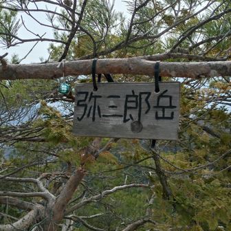 羅漢寺山弥三郎岳（12回目😁✌️）