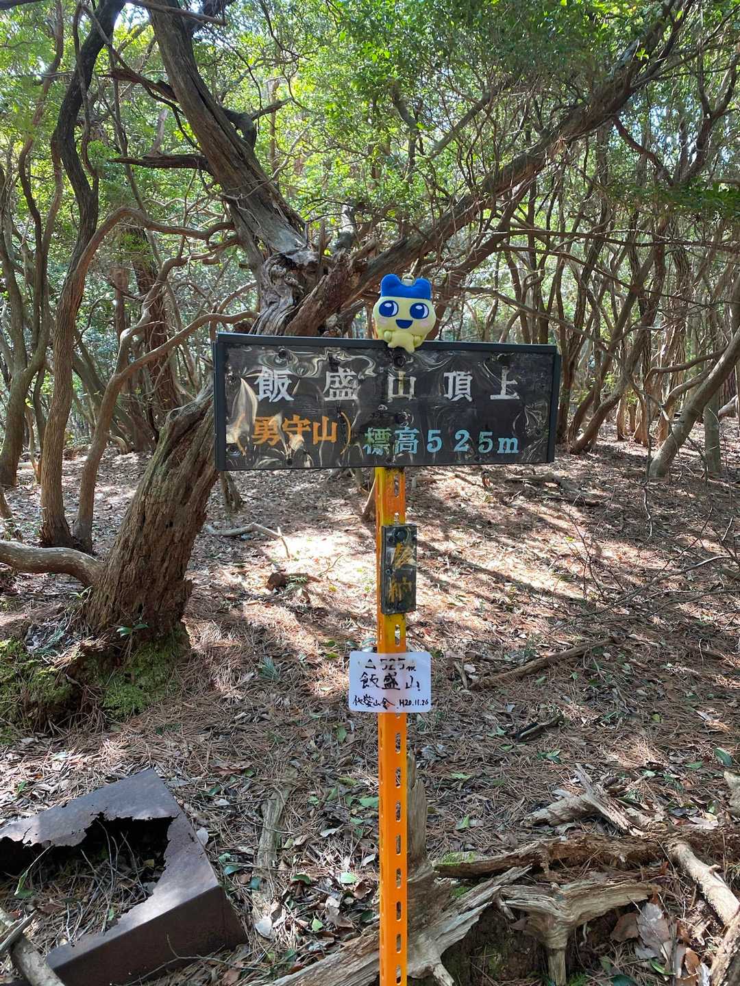 羽沢-鎌知土-田代越-飯盛山 周回コースの写真
