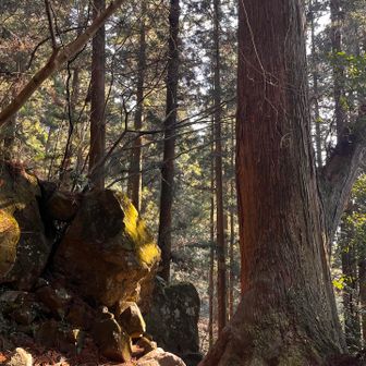 御幸ヶ原ルートで下山。時間帯もあったと思いますが、こちらのコースの方が少し人も少なく渋滞なしで登れそうな感じ🚶