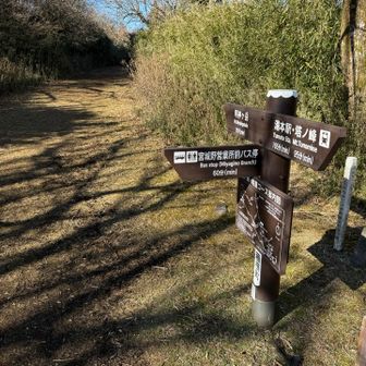 箱根宮城野への分岐
