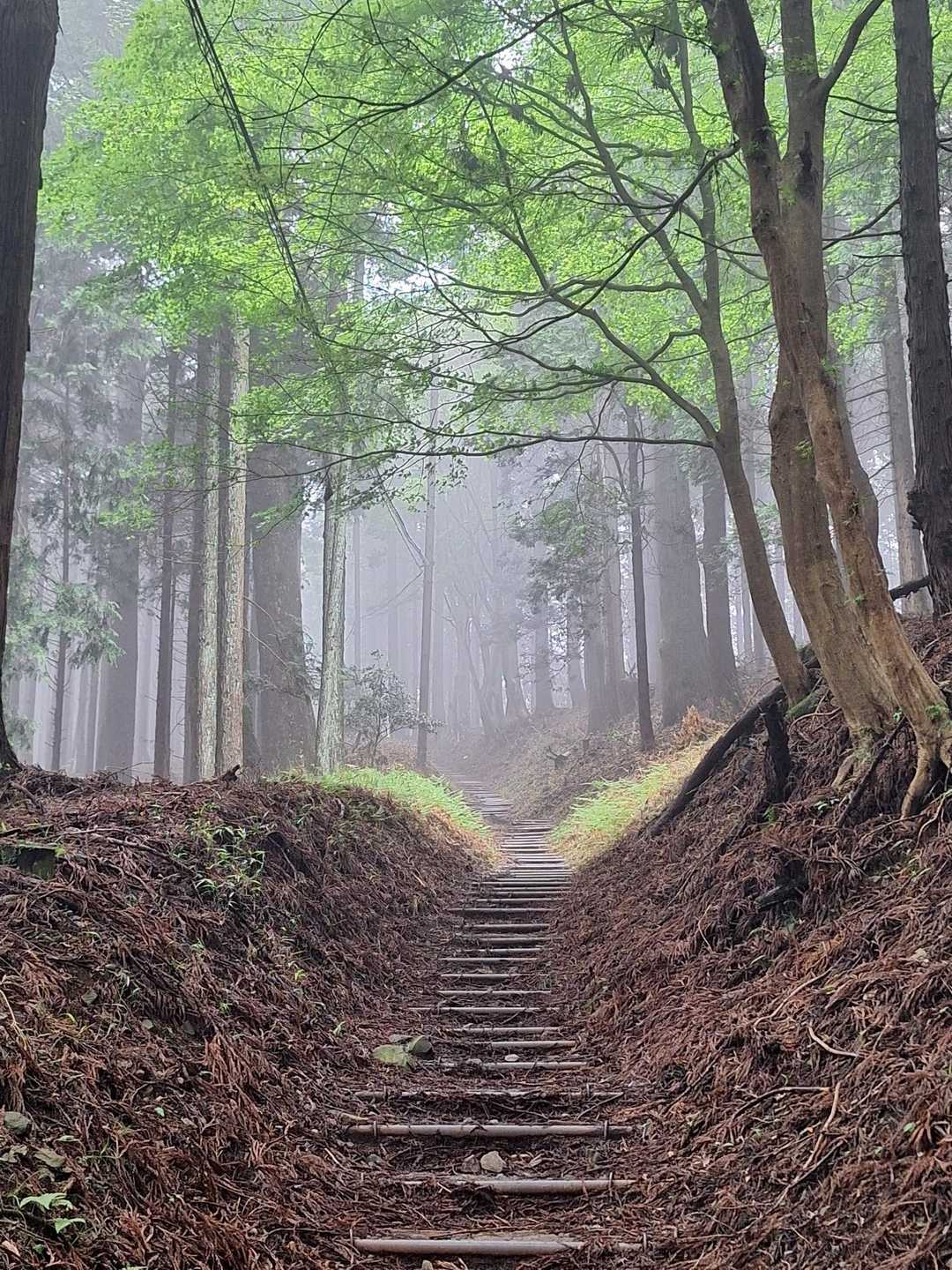 幻想的