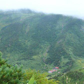 南竜山荘が見えます