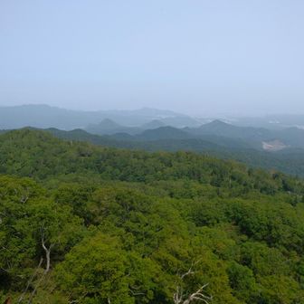 着いた
