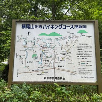 ワクワク😀