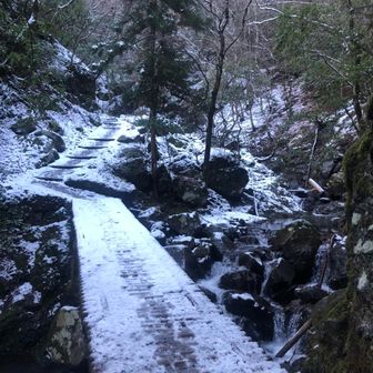 🌸ぴーちゃん🌸