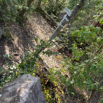 長命寺山の山頂は展望ない