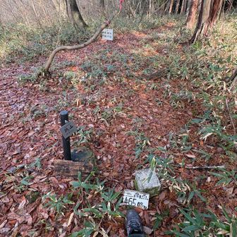 砥山（といしやま)山頂