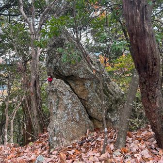 鎮南山ジョーズ岩の
下クチビルに(o´罒`o)