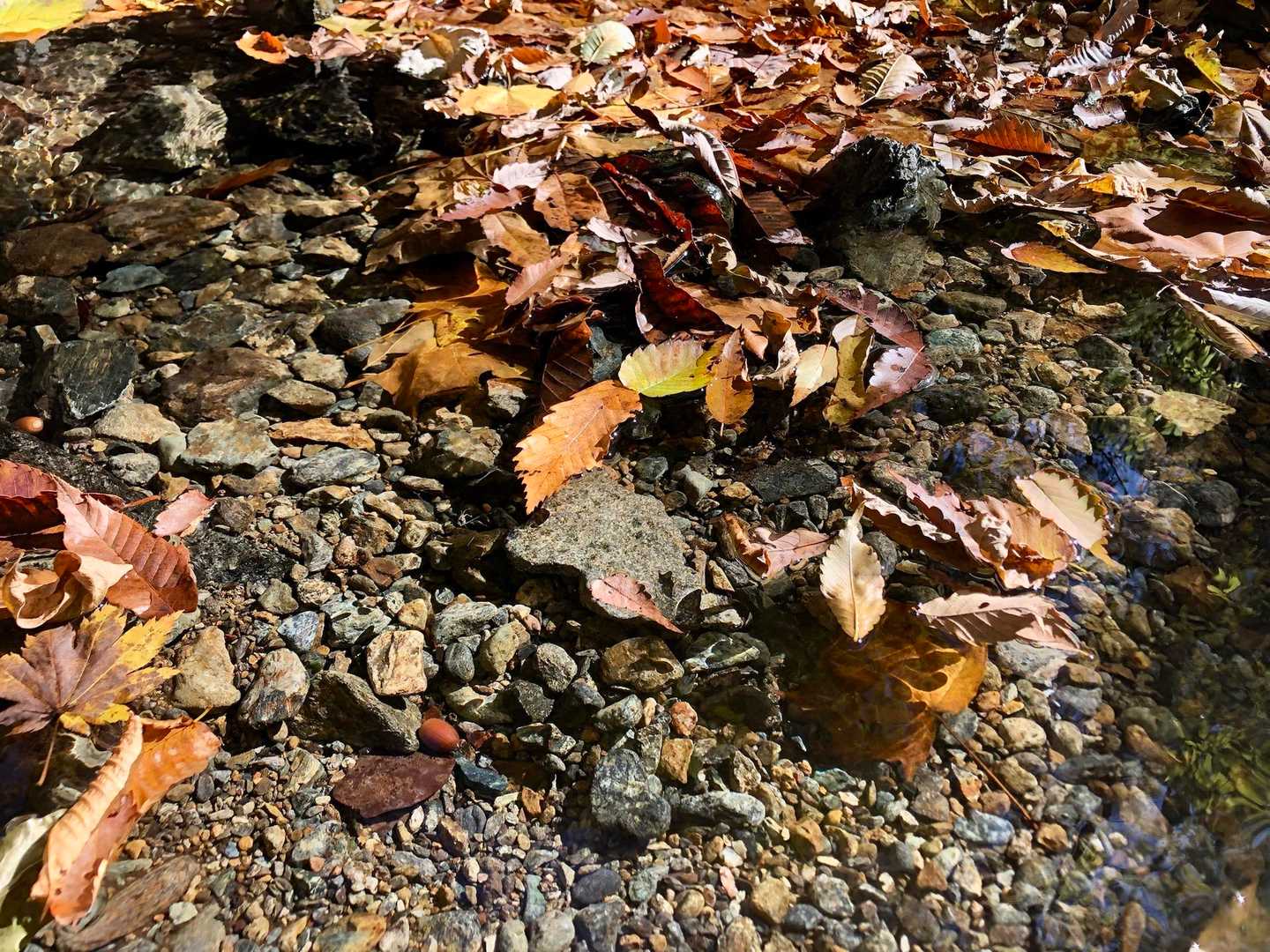 水がめちゃ綺麗✨✨✨