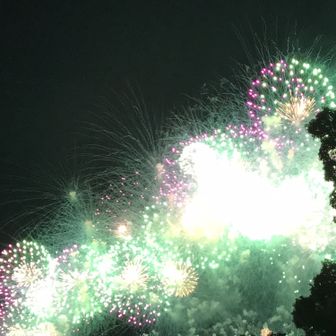 たっちー