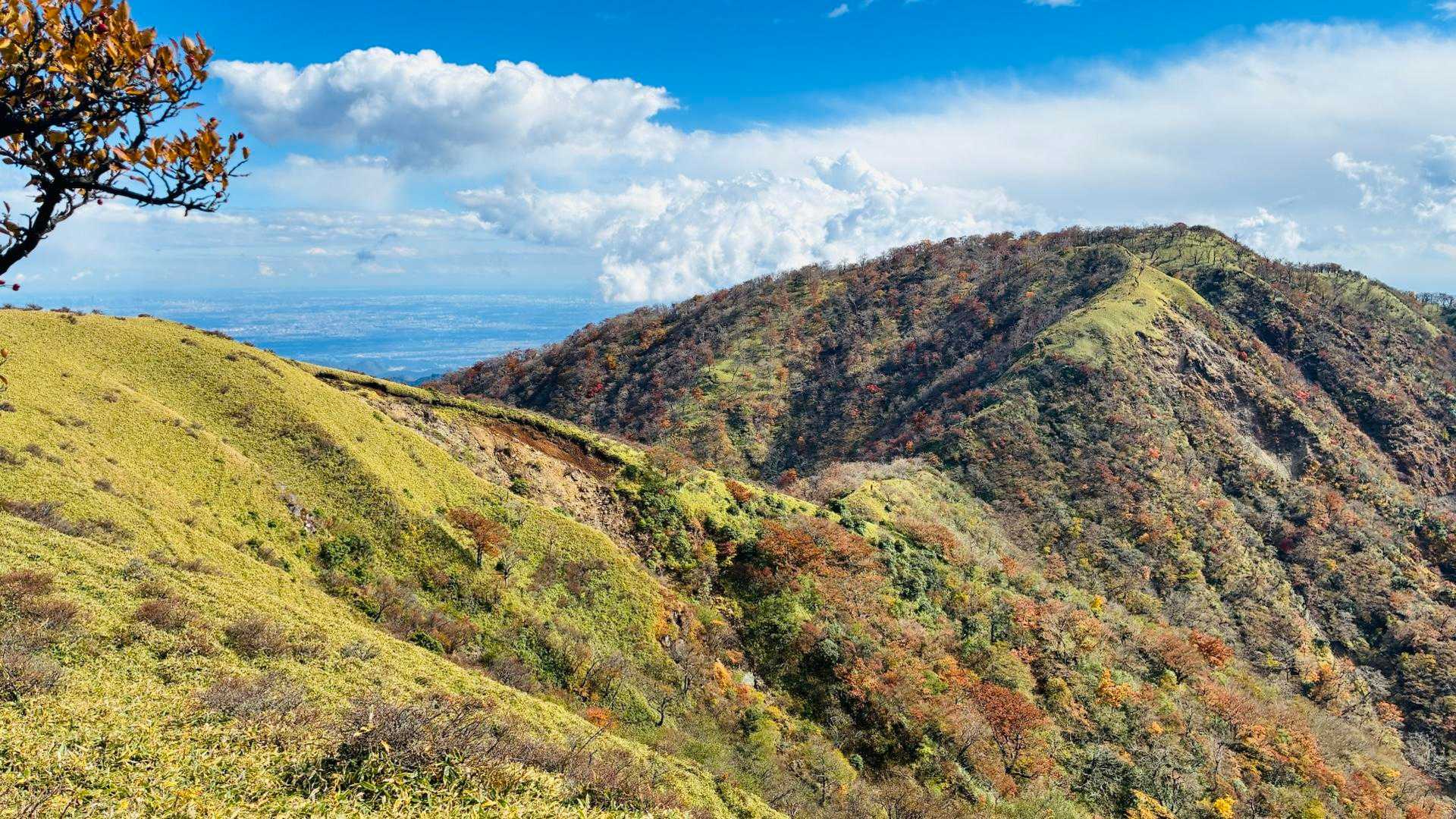 焼山登山口バス停-焼山-姫次-蛭ヶ岳-鬼ヶ岩ノ頭-不動ノ峰 縦走コースの写真