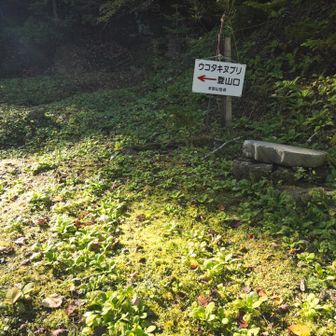 苔生す登山口。暫く人が入っていない様子。入山届ボックスも無くなっていた。