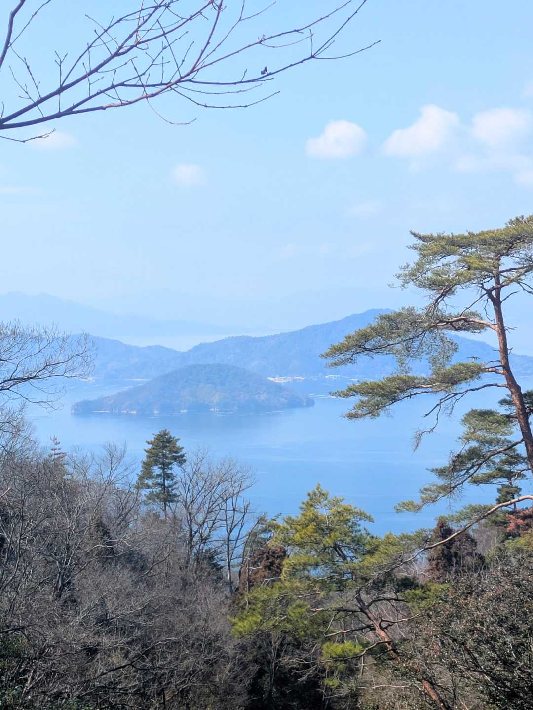 木の隙間から見える景色✨この景色を見ながら歩いています😀