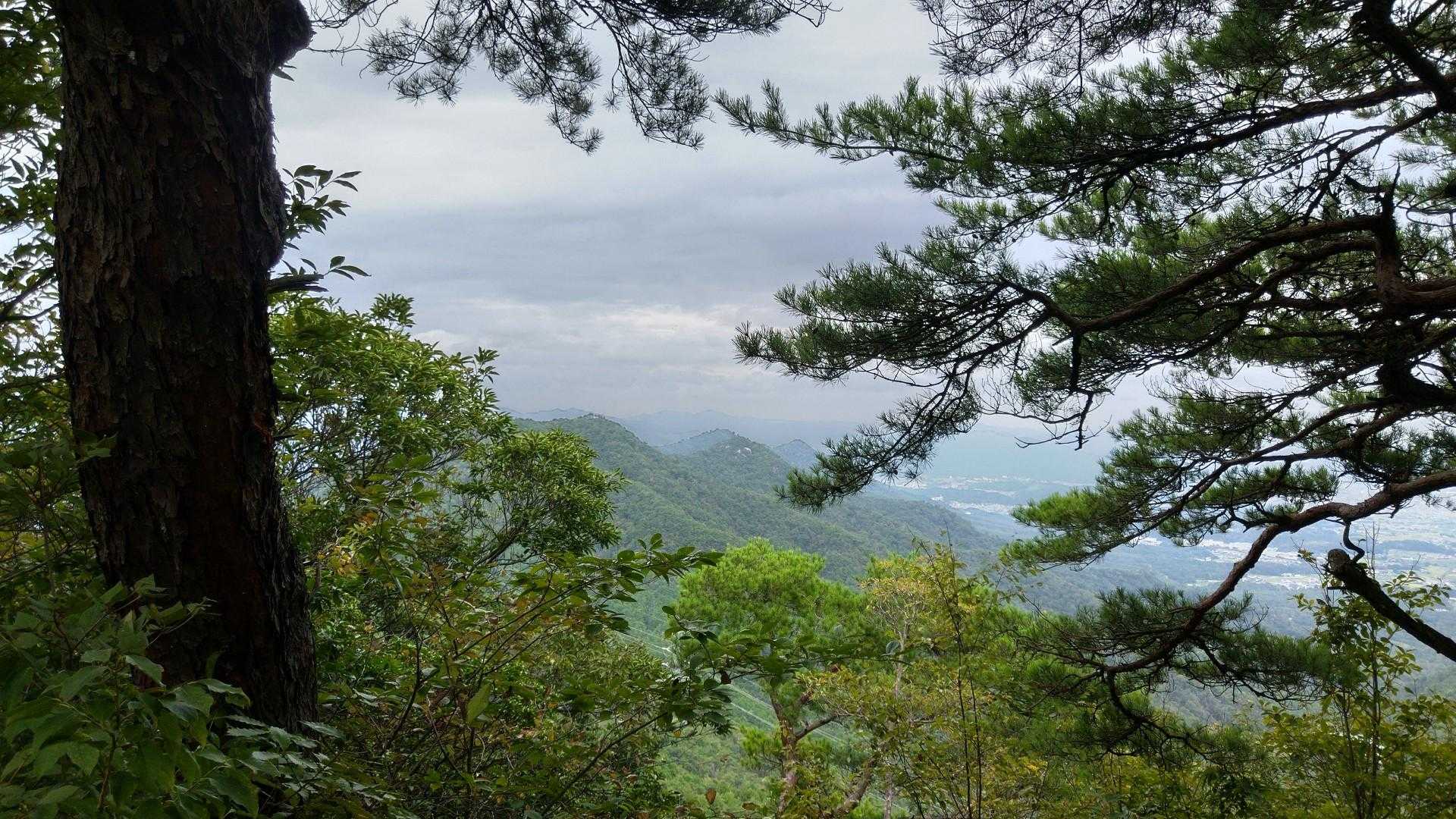 歩いてきた山々がチラリ✨