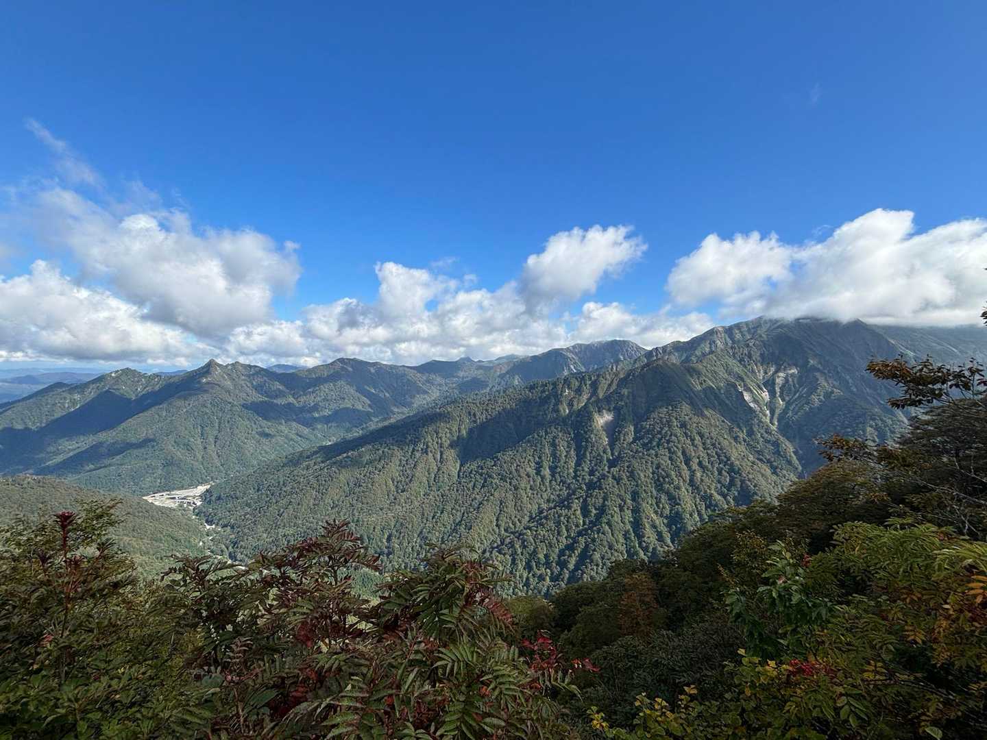 大ベタテノ頭で展望が開けます。右端の山頂部に雲が掛かったピークは茂倉岳。